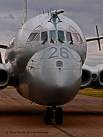 Nimrod !