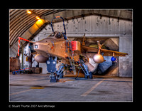 Jaguar RAF Coningsby 2007